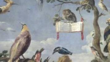 Circling the heavens: visual culture and the bird of paradise