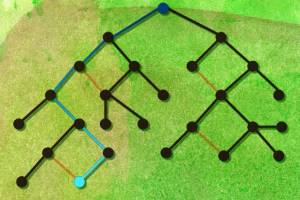 Collecting just the right data