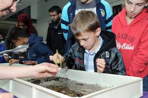 Come and meet our slime mould