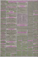 Computer Science Students Design AI Applications for Research