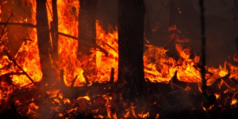 Compound climate extremes such as droughts and heat waves increase the risk of d