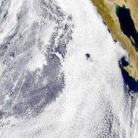 Consulting with Clouds: A Clear Role in Climate Change