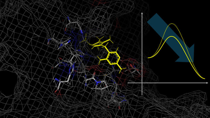 Chemistry - Die VolkswagenStiftung fördert ein neues Forschungsprojekt in der Chemie mit Beteiligung der Universität Göttingen, des Max-Planck-Instituts für Multidisziplinäre Naturwissenschaften (MPI-NAT) in Gött Chemistry
