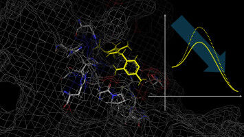 Controlling Chemical Reactions in Enzymes