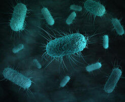 Countries most at risk from superbugs�