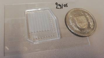 Crawford leadership forum to chart our Covid future