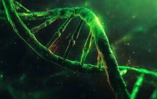 Deciphering DNA to Halt Huntington s