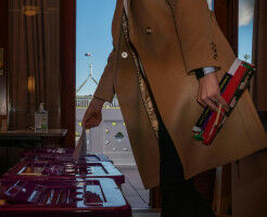 Democracy Sausage: Advance Australian elections fair with Zali Steggall