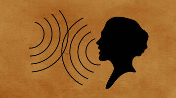 Democracy Sausage: Echo chamber politics