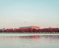 Democracy Sausage: Library renaissance