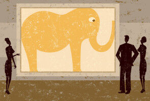 Democracy Sausage: The elephant on meth