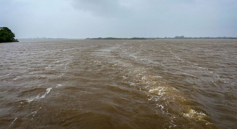 Taneha collaborates with Brazilian and Dutch partners in Project Archipelago.