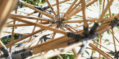 Digital Bamboo on display