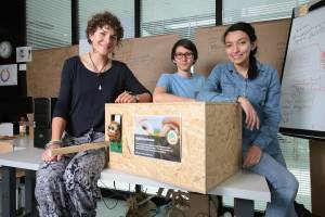 Digital birdhouses make studying owls easier