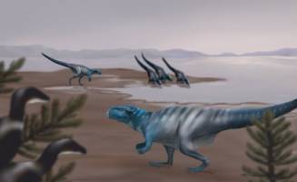 'Dino Cave' reveals dinosaur crouch walkers