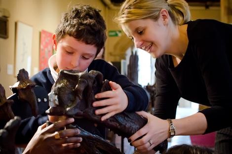 A schoolboy explores the dinosaur exhibits