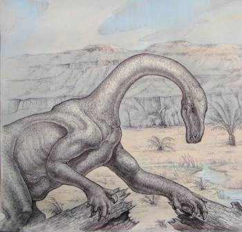 Artist&rsquo;s reconstruction of  Sarahsaurus .  Illustration: John Maisano