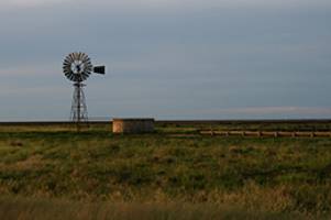 Disentangling drought's devastating impacts