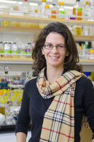 Health - Drought Leads to Increased Antibiotic-Resistant Microbes in Soils - CALTECH Drought Leads to Increased Antibiotic-Resistant Microbes in Soils