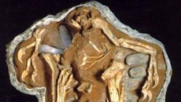 Egg Cetera #2: The answer to the riddle of which came first