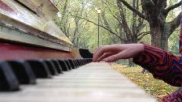 Eight pianos, nine musicians, four cameras and one dog