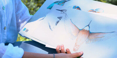 A racist diary and kingfishers