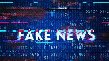 Elections and cyberspace: are democracies in danger?