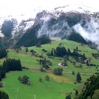 Endangered language opens window on to past