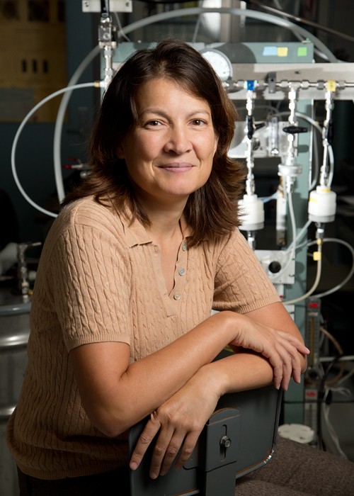 Tami Bond, a  of civil and environmental engineering, has received a 2014 MacArt