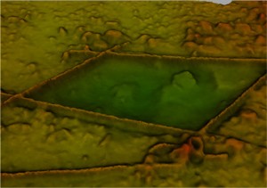 The 3D mapping and digital reconstruction of an ancient underwater city have won