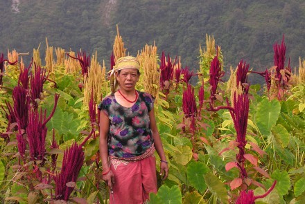 Nepalese woman in the Annapurna region of north-central Nepal. Photo credit: Mar
