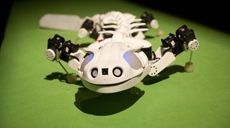 Pleurobot, a distant relative of the species Pleurodeles waltl. � EPFL / Hillary