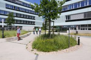 EPFL spin-offs flourish in a finely tuned ecosystem