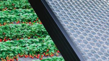 EPFL startup Insolight raises 5 million francs