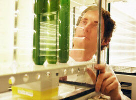 ERC Grant to Study Continental Climate Change Using Cyanobacterial Tracers