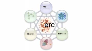 ERC Synergy Grant for research at the interface of viral infection and cellular regulation