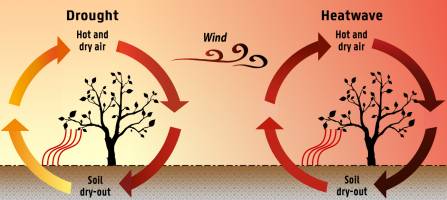 European mega-heatwaves linked to drought