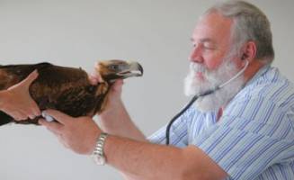 Eva set to soar again