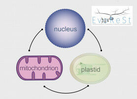 Evolutionary genomics: consequences of biodiverse reproductive systems