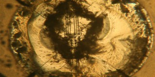 Credit: M.K. Massey and E. Vissol-Gaudin/Durham University