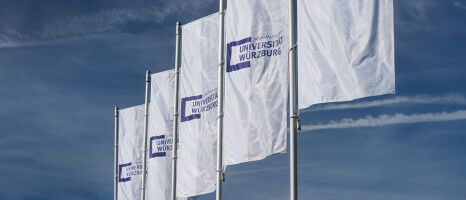 Excellence Strategy: University of W�rzburg Reaches Final Round