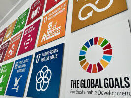 Excellent Performance in THE Impact Rankings for Sustainability