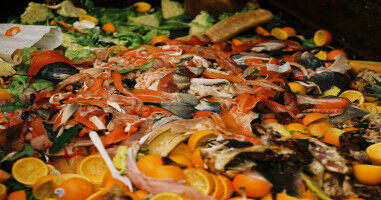 Expert insight: How food waste can generate clean energy