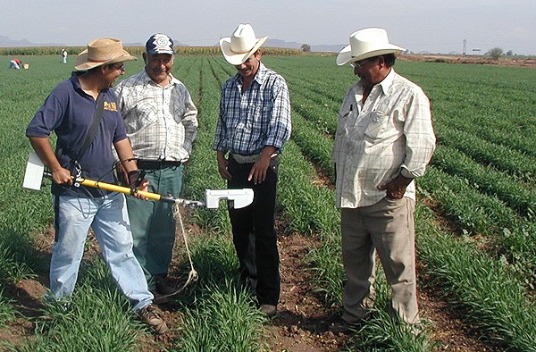 Farmers in Mexico&rsquo;s Yaqui Valley use a nitrogen sensor to optimize fertili