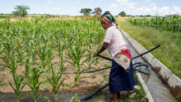 Farming reboot lays seeds for prosperity in poor regions