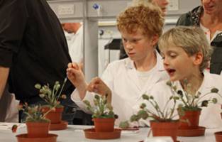 Festival to showcase science and engineering