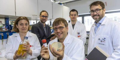 Fields of Expertise - It Pays to be Part of Them