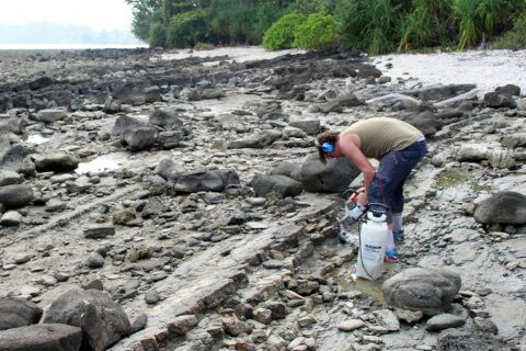 Douwe van Hinsbergen during fieldwork in Sabah, Maleisi�