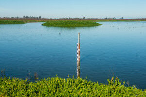 Finding the 'sweet spots' for managed aquifer recharge