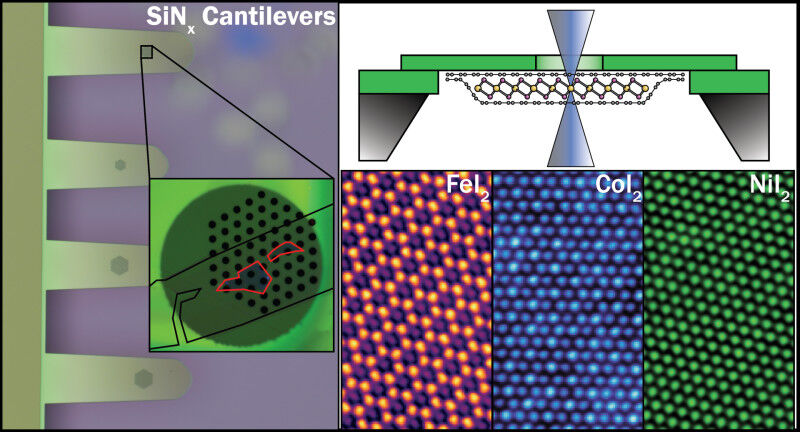 First atomic-scale images of monolayer transition metal diiodides